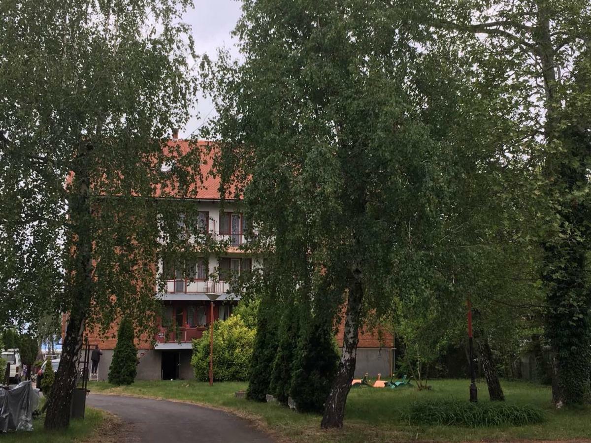 Balatoni Retro Villa Балатонфеньвеш Екстер'єр фото
